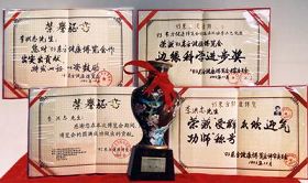 东方健康博览会上李洪志先生获得的奖项