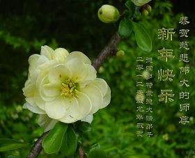 http://www.minghui.org/mh/article_images/2012-1-22-201201842173_01.jpg