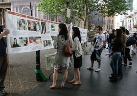 悉尼市政府大楼前，民众阅读法轮功真相