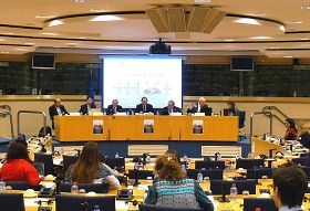 &#039二零一三年一月二十九日，欧洲议会举办了题为"中共对信仰的迫害――一个恐怖的故事"的听证会&#039