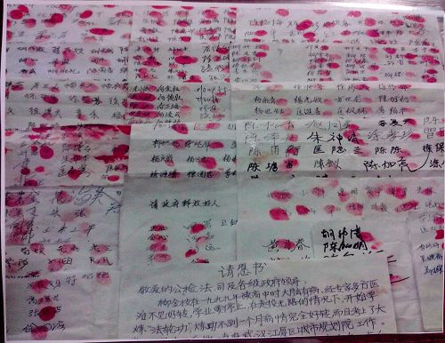 '为柳金枝请愿的江夏区九百世人的签名、手印'
