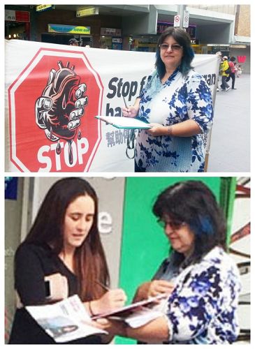 图1：皮尔森女士（Sheree Pearson）正在请悉尼市民签名制止“活摘”