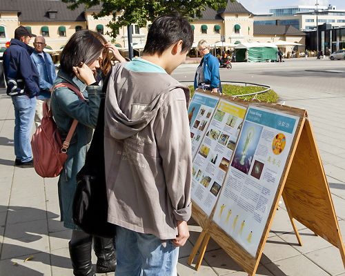 中国大陆留学生和乌普萨拉市当地民众观看展板，了解法轮功真相