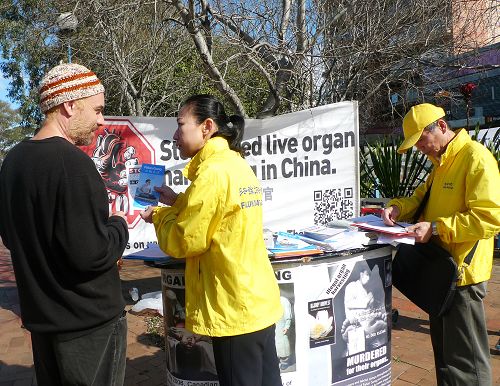 图1-6：部分悉尼法轮功学员在市中心马鲁巴地区传播真相，民众了解真相后，纷纷签名支持制止“活摘”，谴责中共恶行。