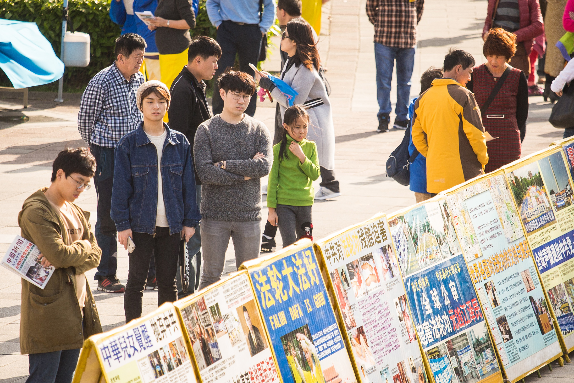 台湾の法輪功学習者 師尊に謹んで旧正月のご挨拶を 写真