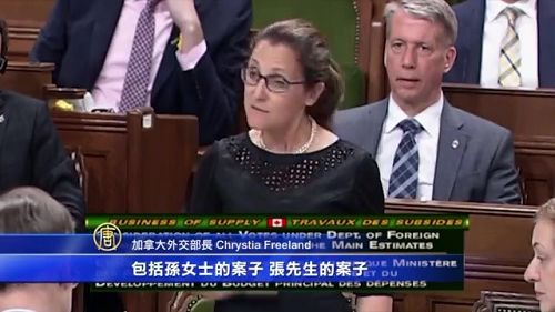 加总访华前，加拿大外长方惠兰（女），提到了加拿大访华代表团会在中国提出的四个个案。其中包括法轮功学员孙茜（Qian Sun）。