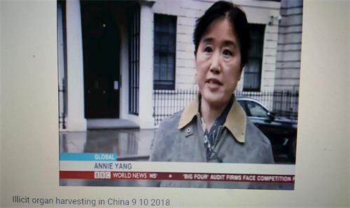 '图5：在BBC电视节目中，法轮功学员杨女士站在伦敦中使馆前向记者揭露中共迫害'