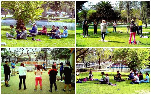 图4：书展后的周末里，很多人来到首都基多的卡罗琳娜公园，加入炼功行列