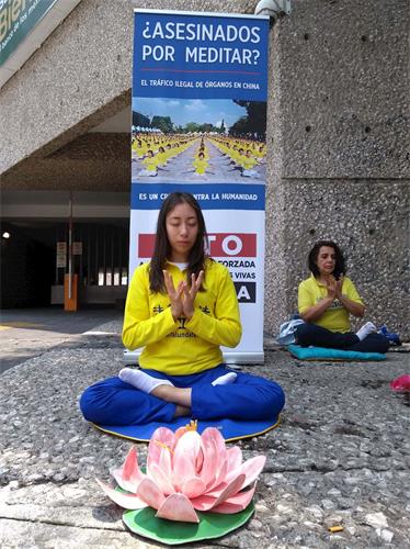 'Figuras 1-4: Los practicantes de Falun Gong practican y dicen la verdad fuera del Consulado de la Ciudad de México