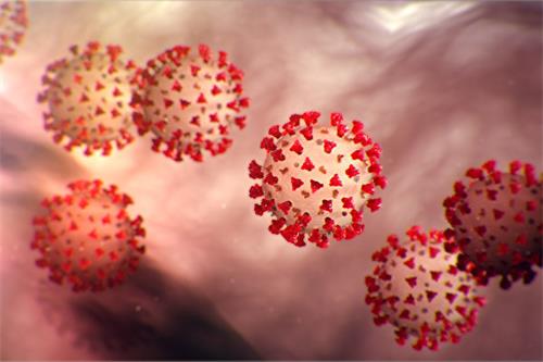 美國疾病與預防中心（CDC）刊出的新型冠狀病毒的示意圖（CDC網站）。