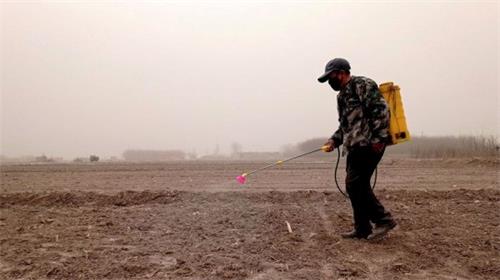 '甘肃省张掖市郊区一农民在田地里喷洒农药。'