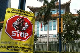 '法轮功学员在雅加达中使馆前挂出横幅，谴责中共活摘器官'