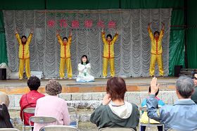 法轮功学员在丰田樱花节上演示功法