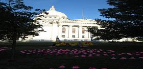 学员们在州议会大厦--这个市中心的地标前的草坪上用纸叠莲花摆出美丽的图案）