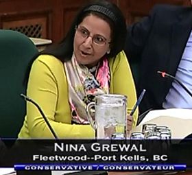 '加拿大国际人权委员会委员妮娜·格瑞瓦'