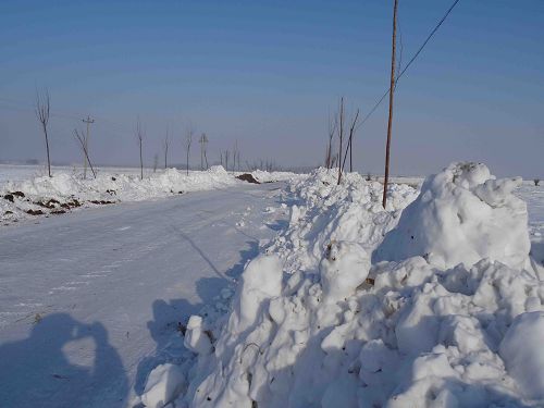 当年刘凤成扫雪的路