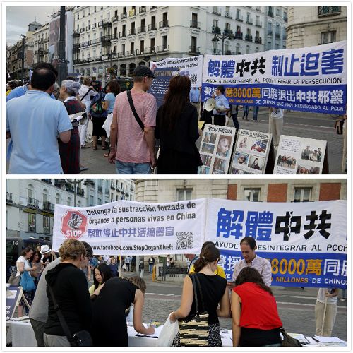欧洲多个国家的法轮功学员马德里集会，向来自世界各地的游人和民众展示法轮功功法，征集签名反对活体摘取法轮功学员器官