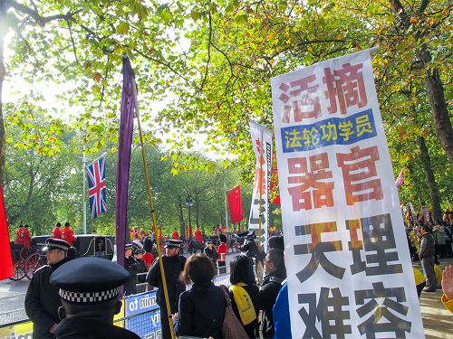 图8：二零一五年十月二十日，在林荫路（The Mall）上，习近平随从乘坐的马车路过法轮功真相横幅，他们面带微笑认真观看