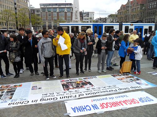 阿姆斯特丹王宫前达姆广场上，游客认真阅读法轮功真相展板