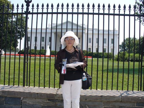 图：关英芹女士在华盛顿DC参加法轮功讲真相活动