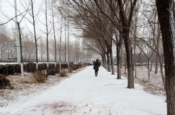 家属冒着飞雪去探望，失望而回