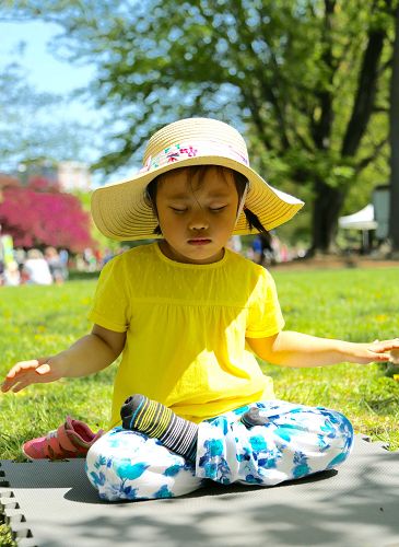 2016-5-23-minghui-falun-gong-ottawa-03--ss.jpg