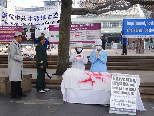 新西兰奥克兰市中心的奥缇亚广场上，法轮功学员模拟演示中共活摘器官