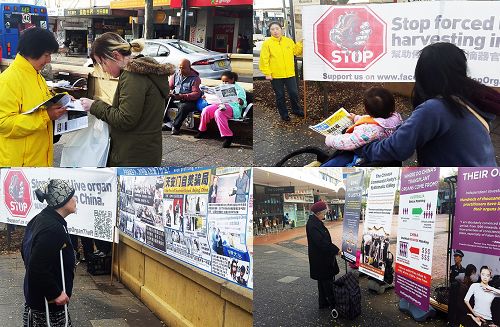 2016-7-11-minghui-falun-gong-sydney-01--ss.jpg