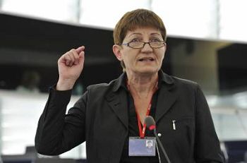 图1：欧洲议会议员科妮莉亚•恩斯特博士（Dr. Cornelia Ernst）