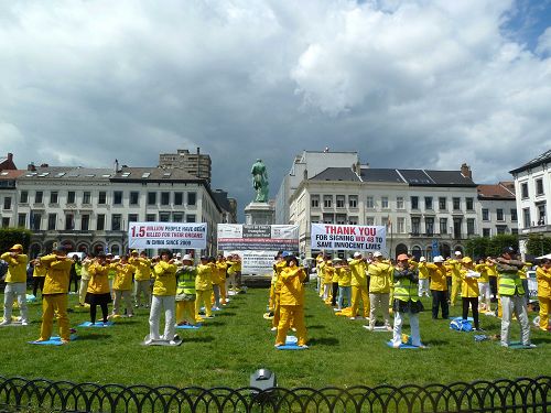 2016-7-21-minghui-falun-gong-belgium-01--ss.jpg