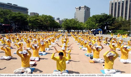 2016-7-29-minghui-organharvest-media-france-02--ss.jpg