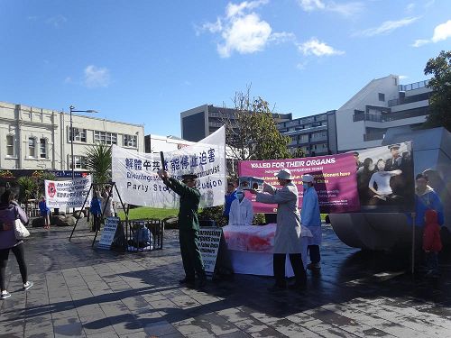 2016-8-8-minghui-falun-gong-newzealand_01--ss.jpg