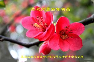 加格达奇大法弟子携家人恭祝大法师父过年好！