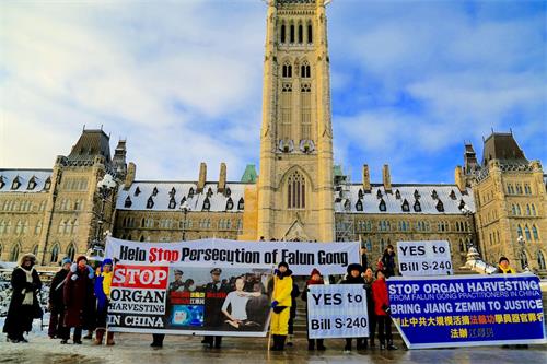 '图3：11月20日，法轮功学员在加拿大国会山外支持《S-240法案