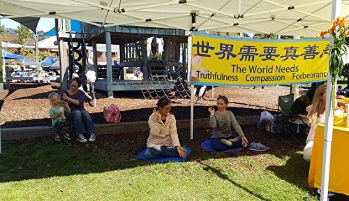 2018-3-27-minghui-falun-gong-newzealand-01--ss.jpg