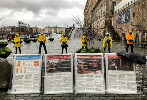 '图2:二零二零年十一月二十日风雨交加,讲真相活动如往常一样进行,学员们伴随着炼功音乐在雨中展示功法'