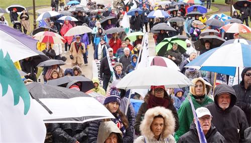 2020-12-13-michigan-rally-against-election-fraud_01--ss.jpg