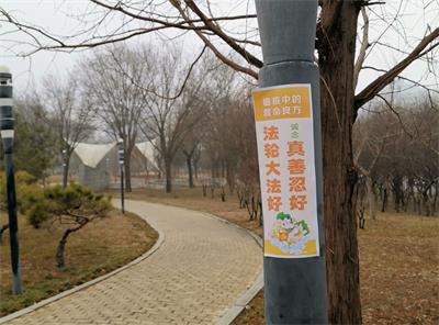 2020-3-3-shijiazhuang-stickers_01--ss.jpg