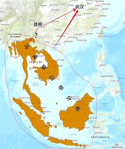 '图：宏观的线路辨析，否定了“接力迂回传播病毒”的“穿山甲说”，展现了病毒直接到武汉的可能性。（作者提供）'