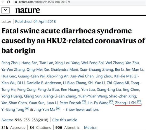 '图：2018年武汉病毒所石正丽团队研究2016年猪瘟的论文截图，猪瘟SADS病毒源于蝙蝠。'