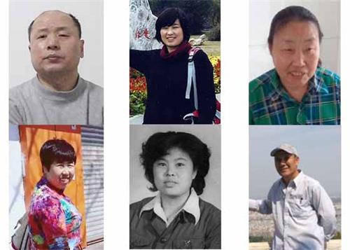2020年1至5月在迫害中离世的部分法轮功学员（上排从左至右：胡林、周秀珍、高艳，下排从左至右：肖永芬、林桂芝、于永满）
