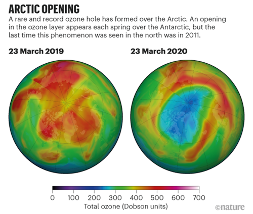 二零二零年三月，北极上空出现一个巨大的臭氧层空洞。（图片来源：NASA Ozone Watch）