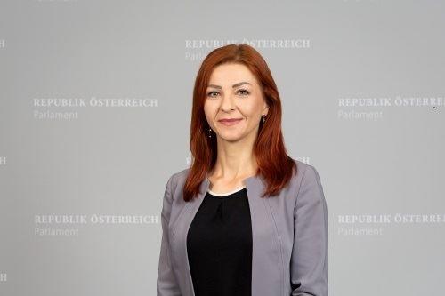 '图6：奥地利绿党国会议员艾娃·恩斯特-杰季奇（Dr. Ewa Ernst-Dziedzic）'