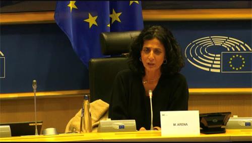 '图4：2021年11月29日，欧洲议会人权委员会小组主席阿瑞纳（Maria Arena）在主持听证会。（欧洲议会听证会视频截图）'