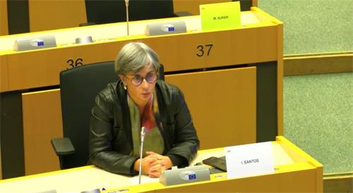 '图5：11月29日，葡萄牙政治家、欧洲议会人权小组委员会的成员伊莎贝尔·桑托斯通（Isabel Santos）在听证会上。（听证会视频截图）'