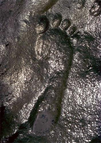 '图7：扎帕塔脚印化石'