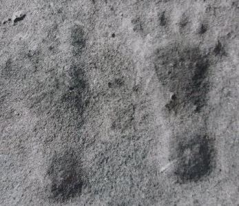 '图8：岩堡县脚印化石'