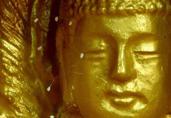 '开在韩国正觉寺佛像脸上的优昙婆罗花'