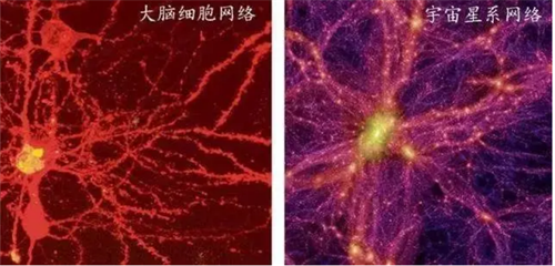 '图四：大脑细胞网络与宇宙星系网络'