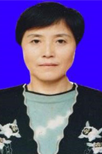 '赵芯'
